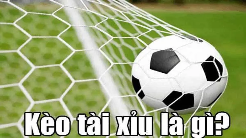Chia sẻ kinh nghiệm chơi Kèo Tài Xỉu 2.5 Hi88